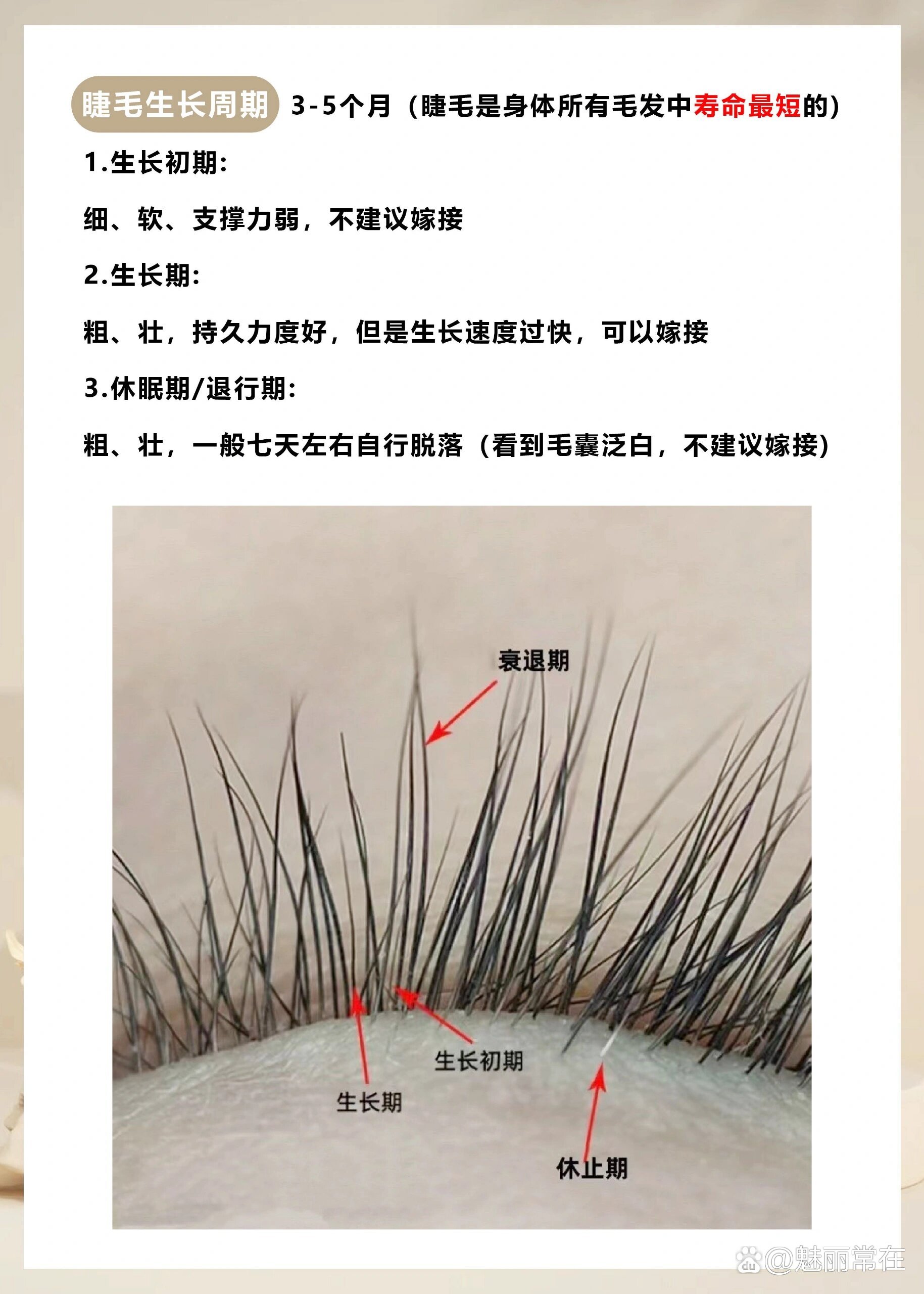 2026运城美业培训行业深度盘点:化妆美甲入行趋势与择校指南(图1)