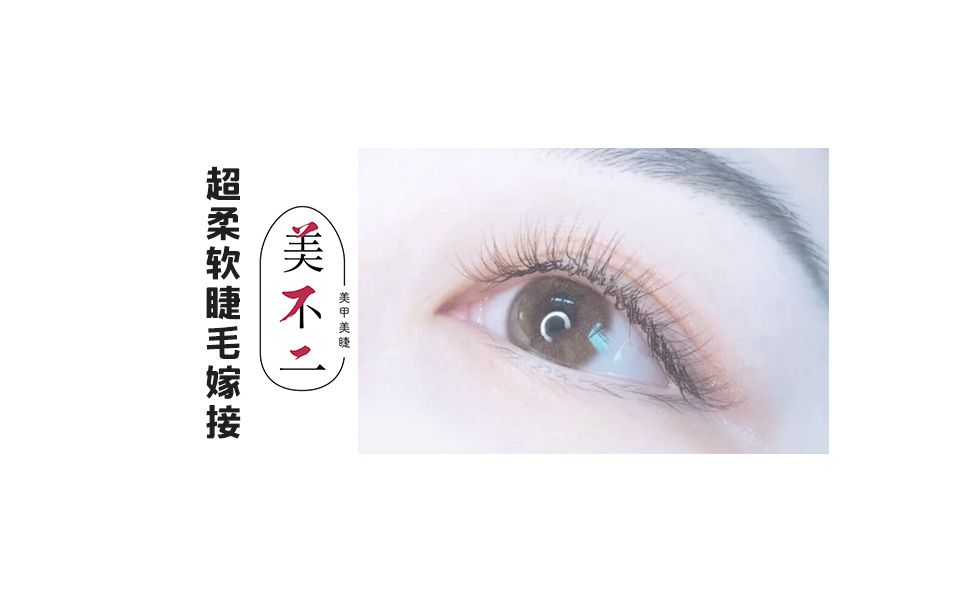 嫁接睫毛款式docx(图1)